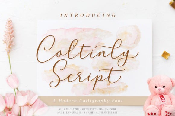 Coltinly Script: The Modern Typeface for Sharper Campaigns