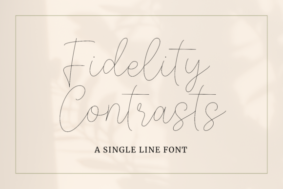 Fidelity Contrasts: The Graceful Typeface for Campaigns That Need Style