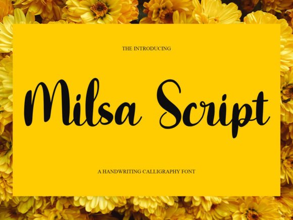 Milsa Script: The Premium Typeface for Elegant Campaigns