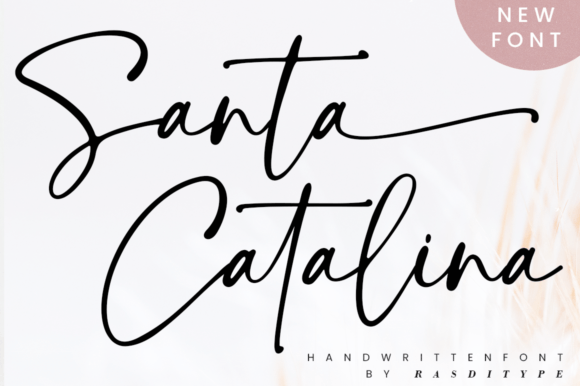 Why Santa Catalina is the Perfect Typeface for Campaign Visuals